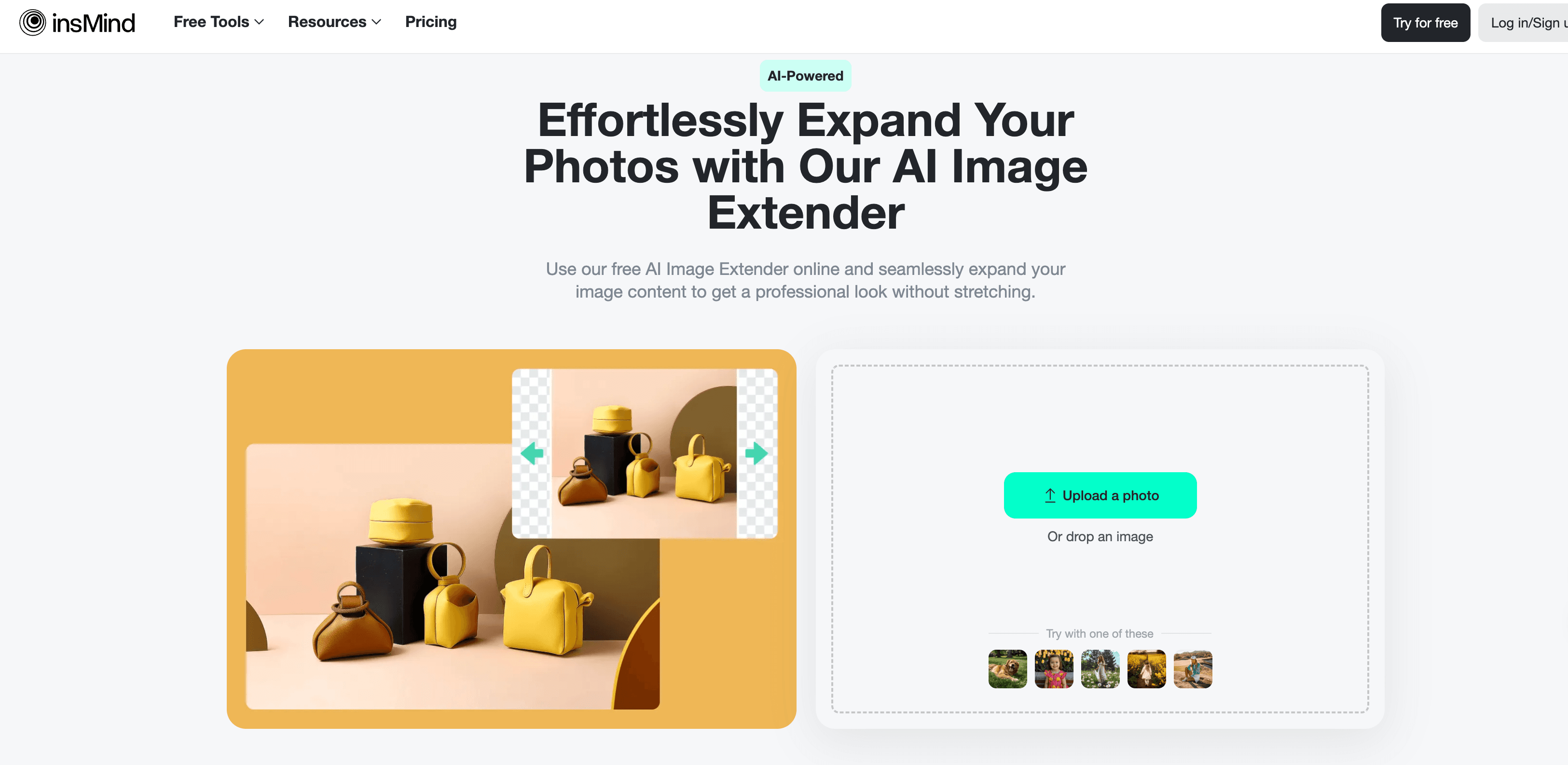 insmind-ai-image-extender.png